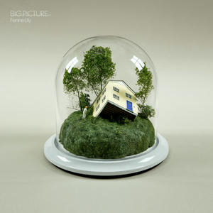 Cover art of Fenne Lily's Big Picture.
It depicts a snowglobe (though without the snow).
In the snowglobe there is a house half-swallowed up by the ground, with a person outside the house looking at it.
There are also some trees.